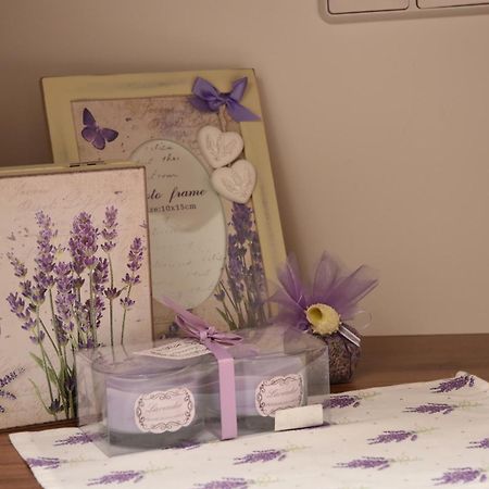Apartments Lavendula ヴォディツェ エクステリア 写真
