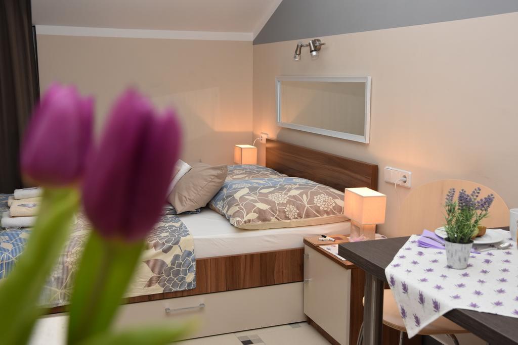 Apartments Lavendula ヴォディツェ エクステリア 写真